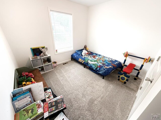 113 E Homer Dr, Pueblo West, CO 81007 - photo 25