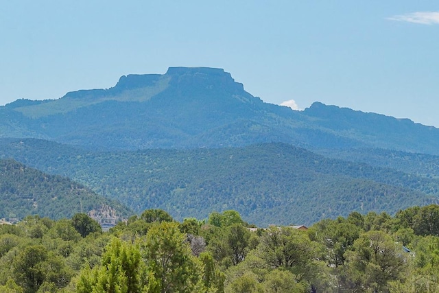 view of mountain feature