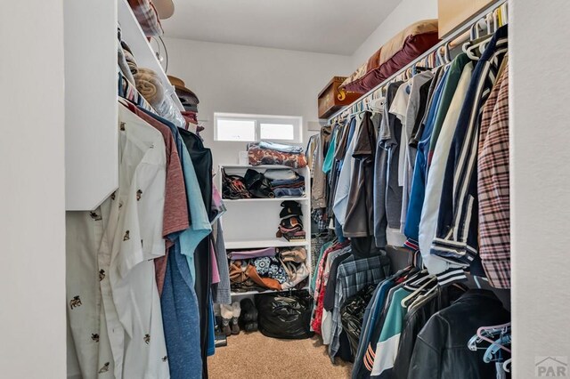 spacious closet with carpet flooring