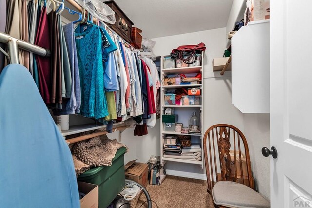 spacious closet featuring carpet