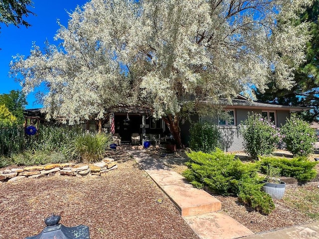 rear view of property featuring brick siding