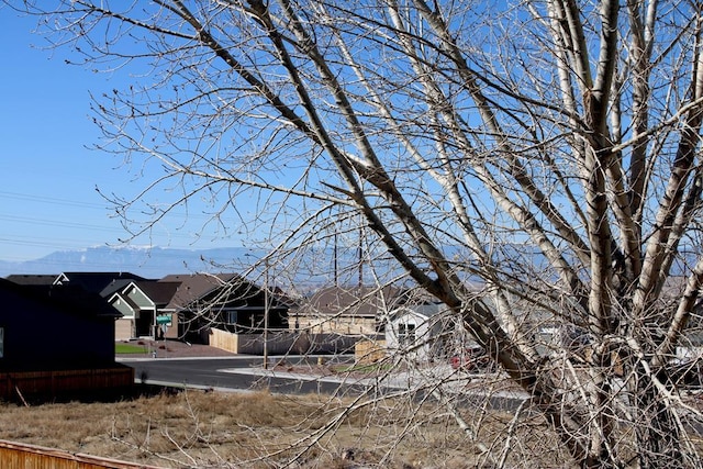 view of yard featuring a residential view