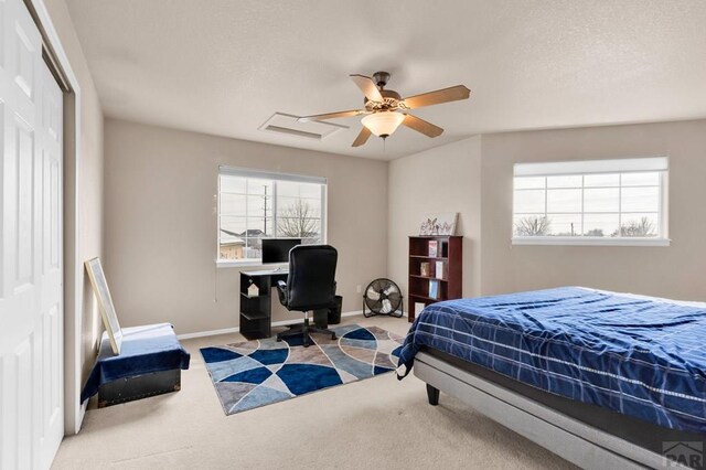 bedroom featuring carpet floors, multiple windows, baseboards, and a closet