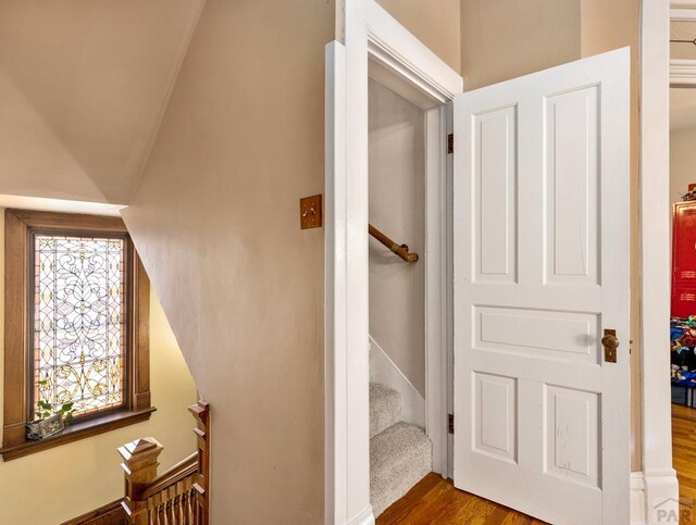 staircase with wood finished floors