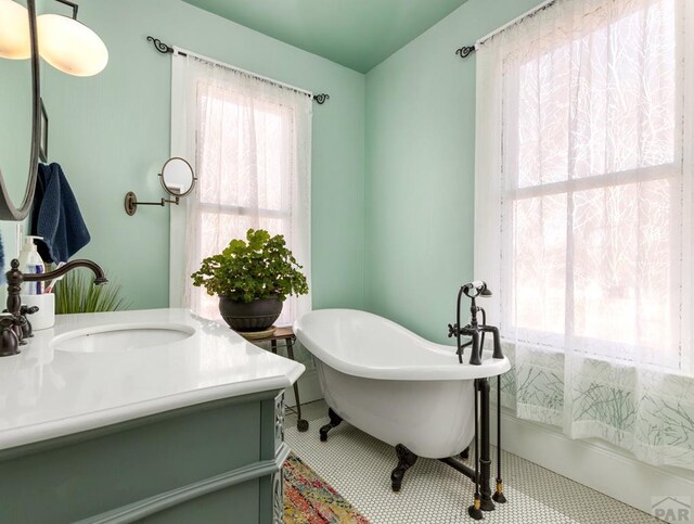 bathroom featuring a freestanding bath and vanity