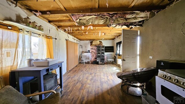219 E Ryus Ave, La Veta, CO 81055 - photo 8