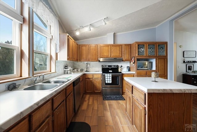 kitchen with lofted ceiling, appliances with stainless steel finishes, light countertops, and a sink