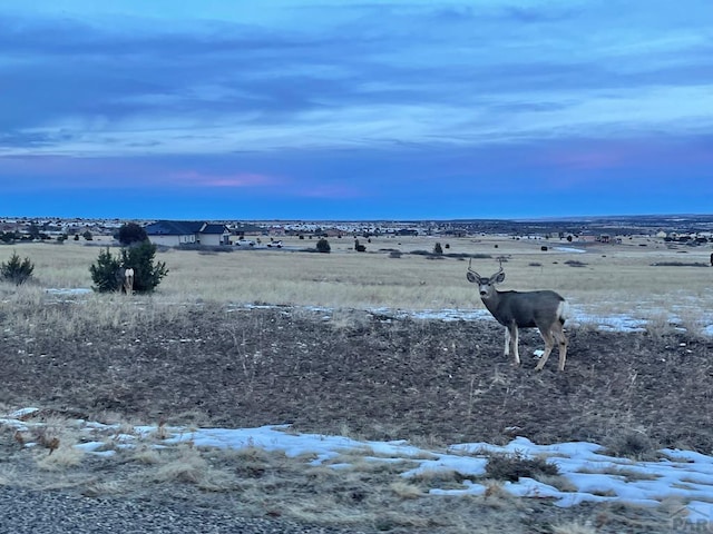 LOT782 Anza Dr, Colorado City, CO 81019 - photo 9