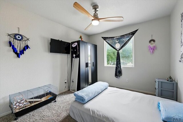 321 S Maher Dr, Pueblo West, CO 81007 - photo 17
