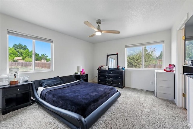 321 S Maher Dr, Pueblo West, CO 81007 - photo 13