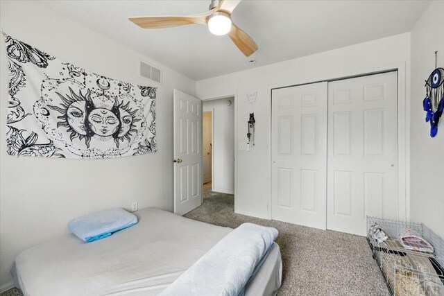 321 S Maher Dr, Pueblo West, CO 81007 - photo 18