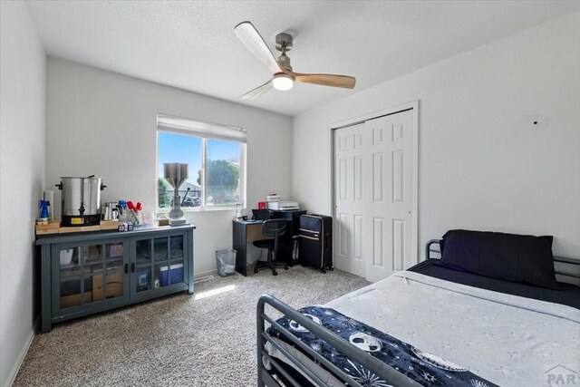 321 S Maher Dr, Pueblo West, CO 81007 - photo 19