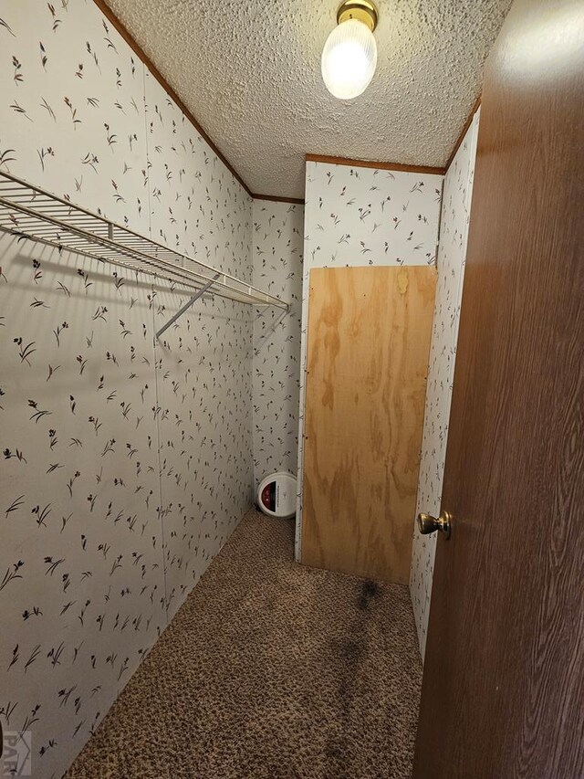 laundry room featuring a textured ceiling, ornamental molding, and carpet flooring