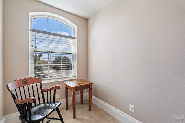 living area featuring baseboards and light carpet