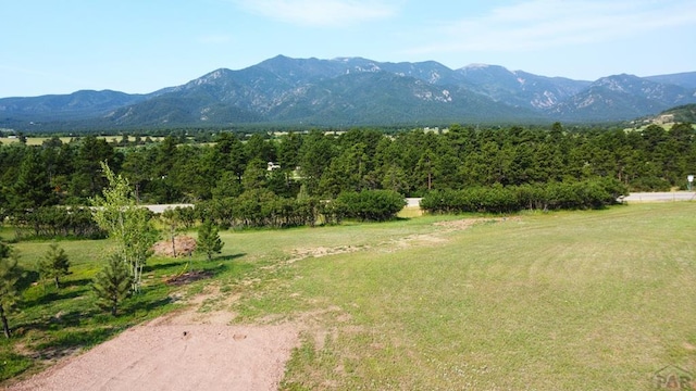 7970 Grand Vista Dr, Pueblo, CO 81004 - photo 29