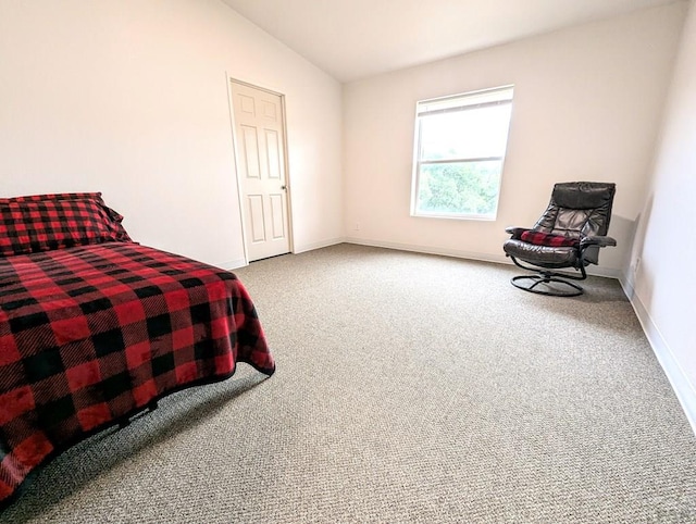 7970 Grand Vista Dr, Pueblo, CO 81004 - photo 15