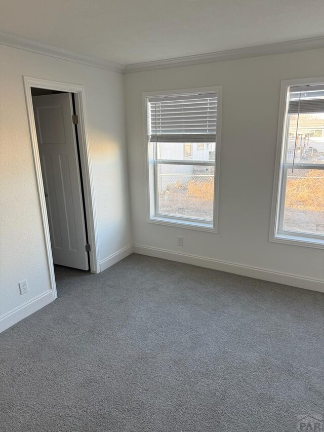 carpeted empty room featuring baseboards and crown molding