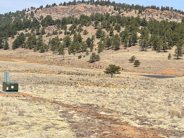 1485 Eagle Valley Rd, Westcliffe, CO 81252