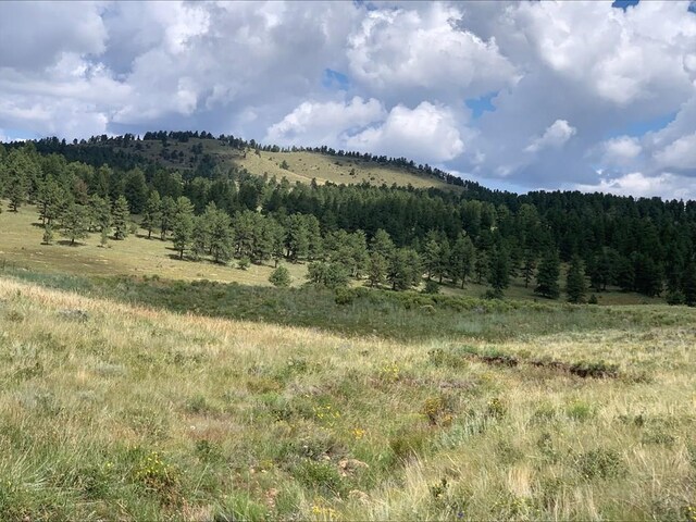 1485 Eagle Valley Rd, Westcliffe, CO 81252