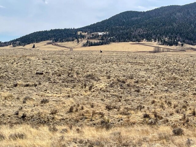 1485 Eagle Valley Rd, Westcliffe, CO 81252