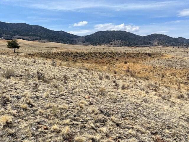 1485 Eagle Valley Rd, Westcliffe, CO 81252