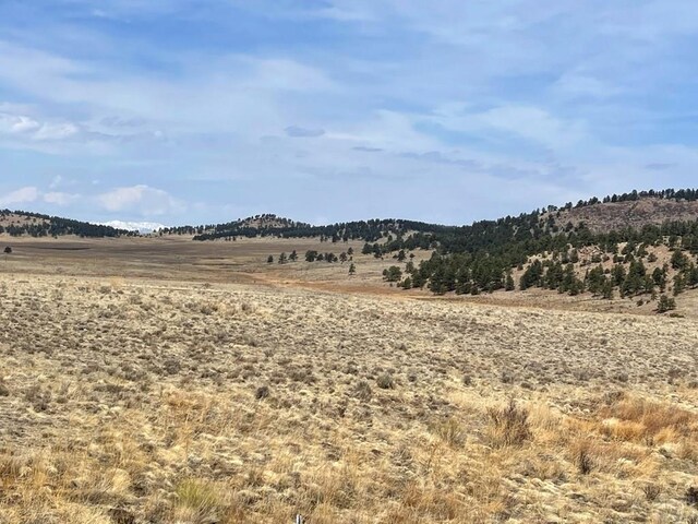 1485 Eagle Valley Rd, Westcliffe, CO 81252