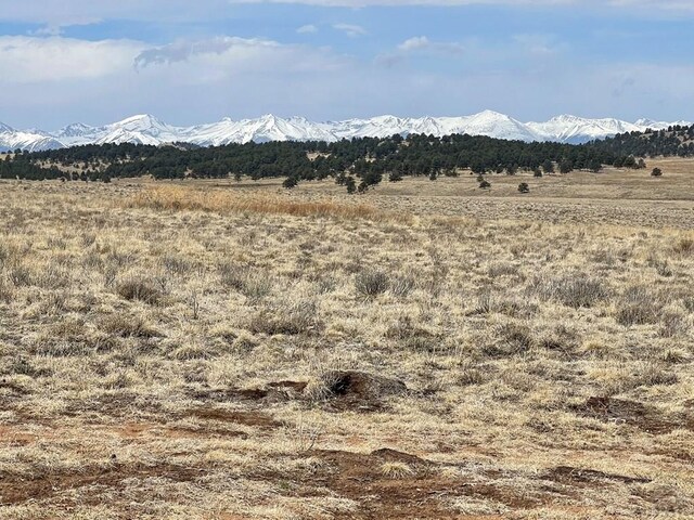 1485 Eagle Valley Rd, Westcliffe, CO 81252