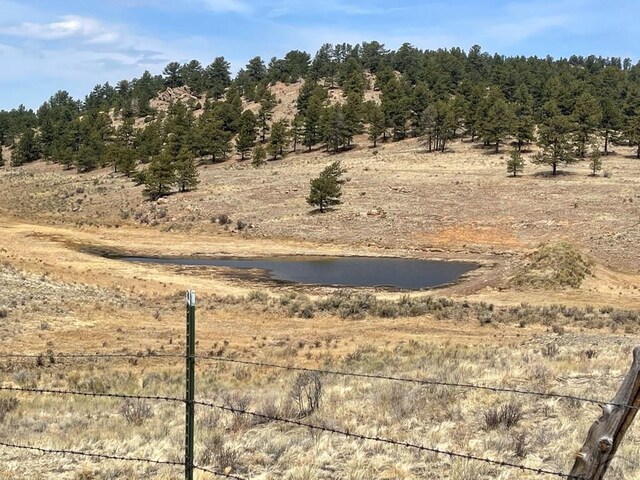1485 Eagle Valley Rd, Westcliffe, CO 81252