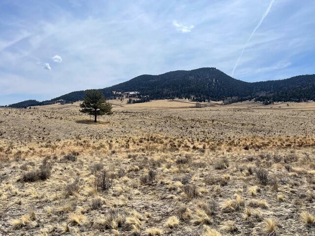 1485 Eagle Valley Rd, Westcliffe, CO 81252