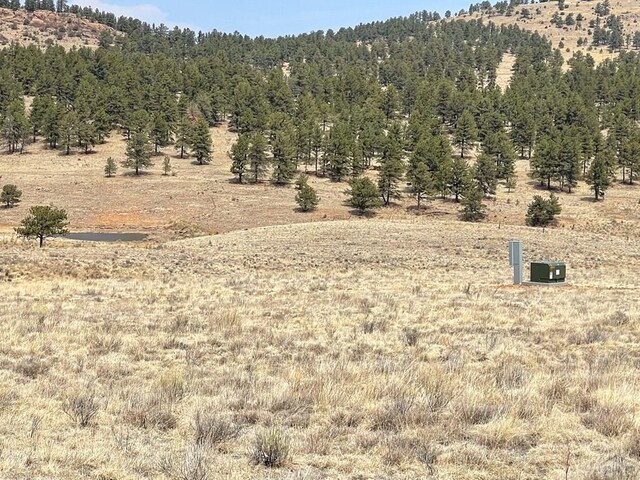 1485 Eagle Valley Rd, Westcliffe, CO 81252