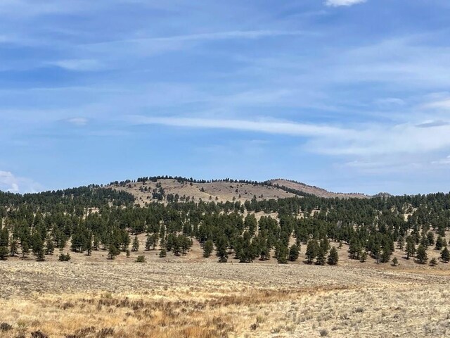 1485 Eagle Valley Rd, Westcliffe, CO 81252