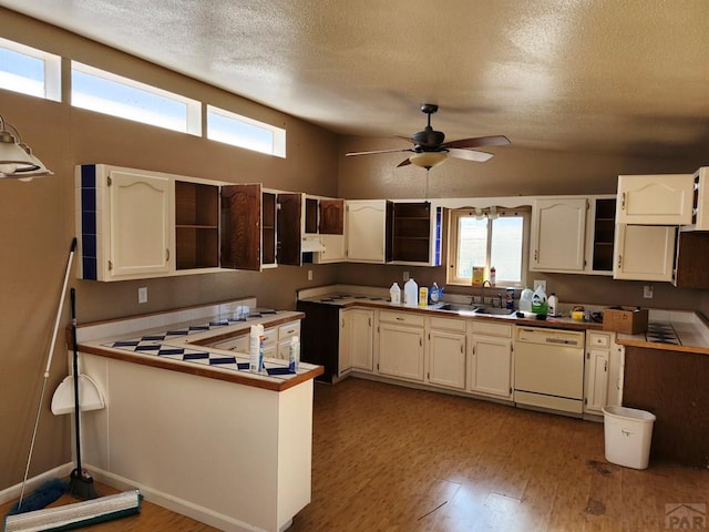 7787 State Highway 78, Beulah, CO 81023 - kitchen with white dishwasher, a sink, wood finished floors, a ceiling fan, and a peninsula