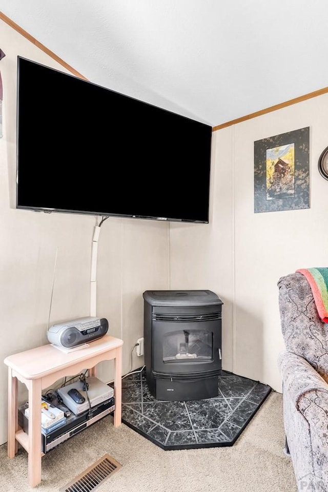 181 6th St, Penrose, CO 81240 - detailed view of a wood stove and carpet