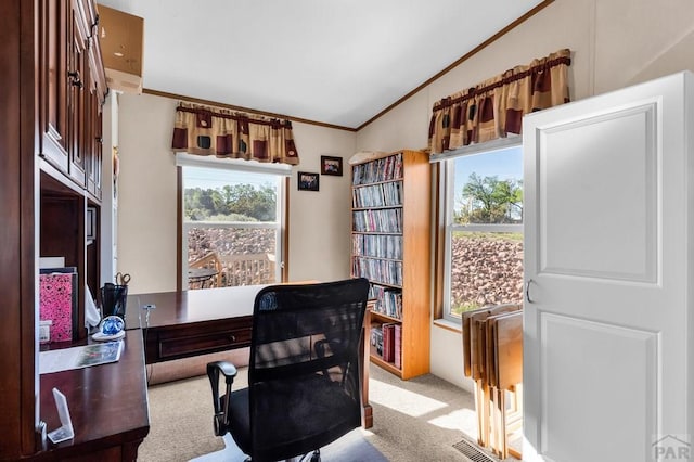 181 6th St, Penrose, CO 81240 - office area with lofted ceiling, ornamental molding, and carpet flooring