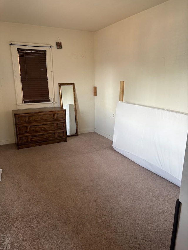3007 N Cascade Ave, Pueblo, CO 81008 - photo 29