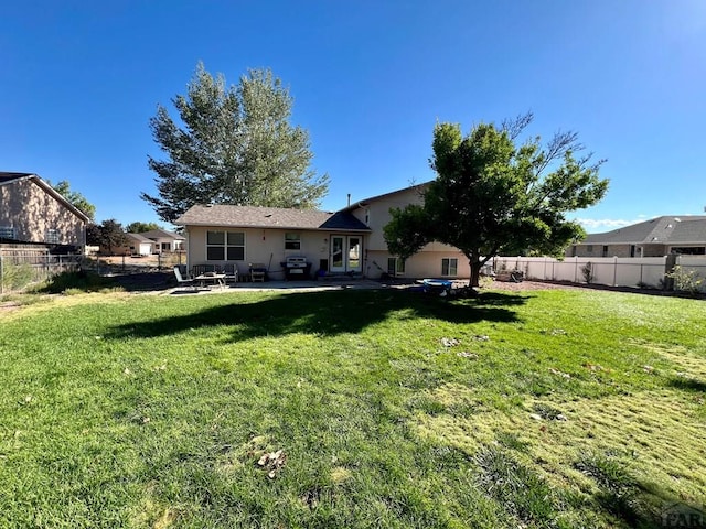 rear view of property with a yard, a patio, and fence