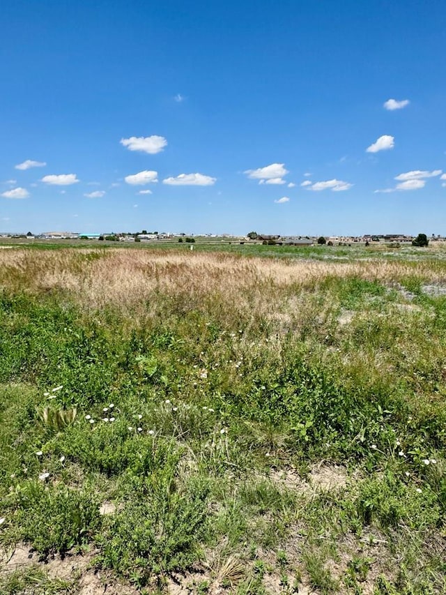 733 E Clarion Dr, Pueblo West, CO 81007 - photo 3