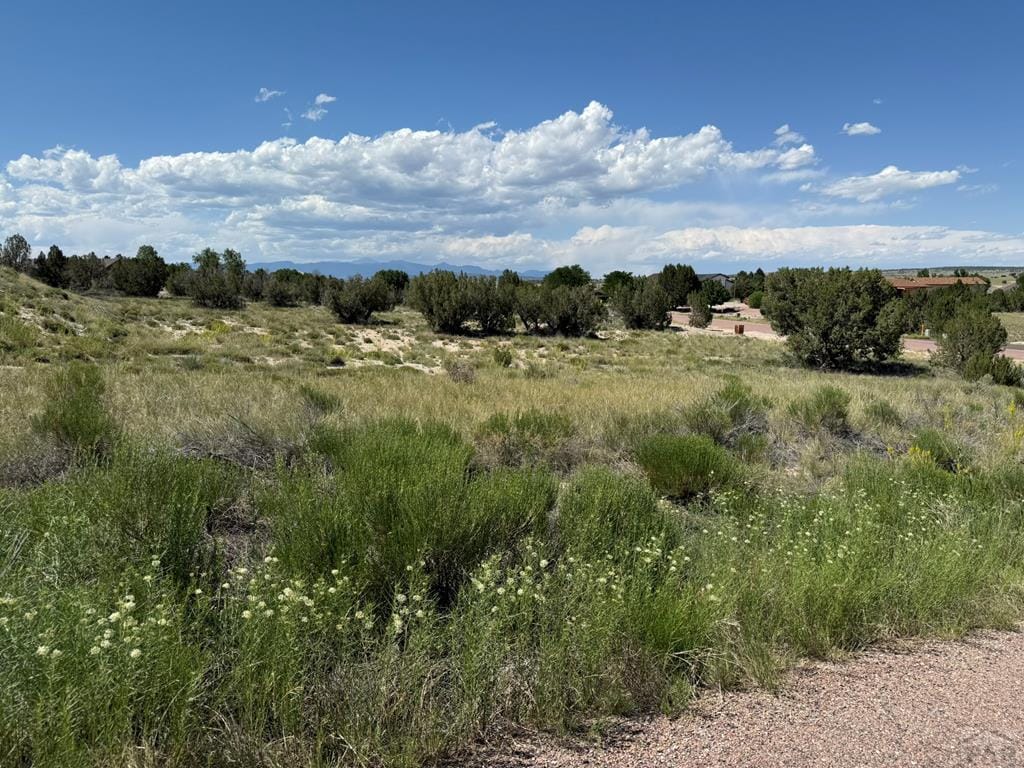 275 S Hidalgo Dr, Pueblo West, CO 81007 - photo 1