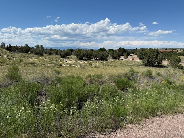 275 S Hidalgo Dr, Pueblo West, CO 81007 - photo 1