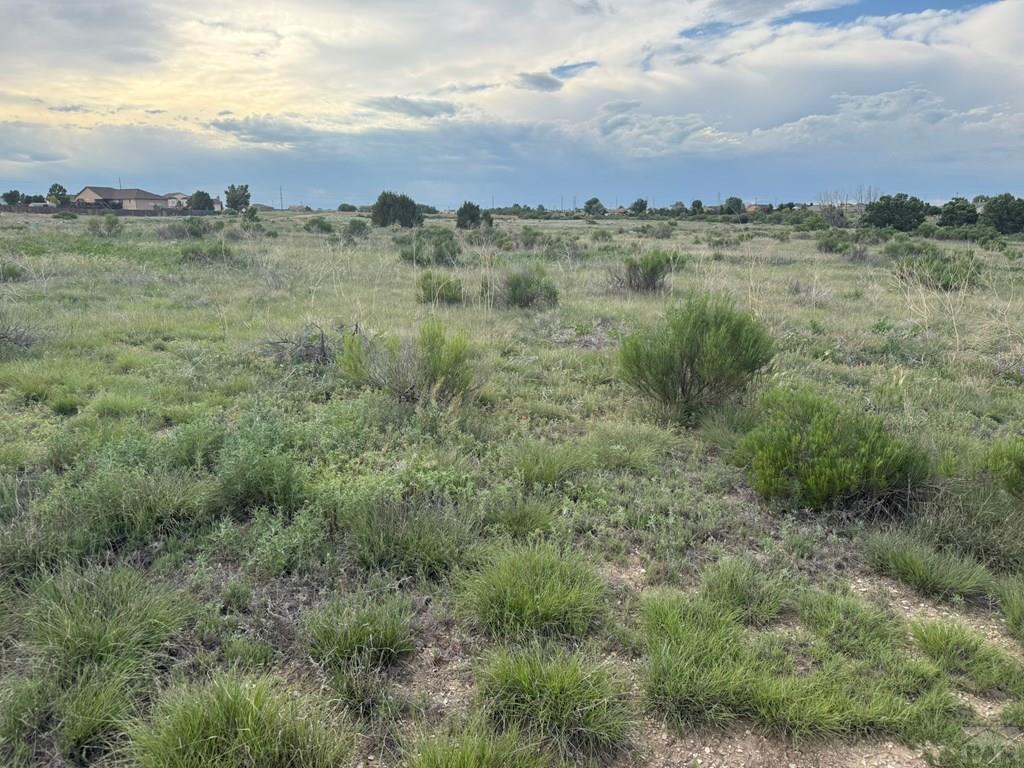 1199 E Spaulding Ave, Pueblo West, CO 81007 - photo 2