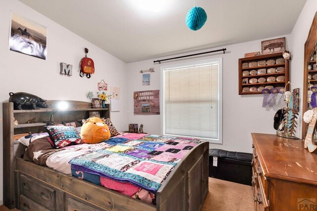 601 County Road 108, Florence, CO 81226 - photo 14