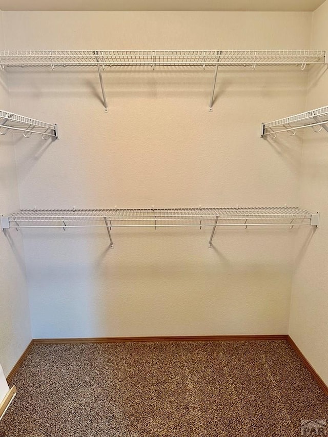 walk in closet with carpet