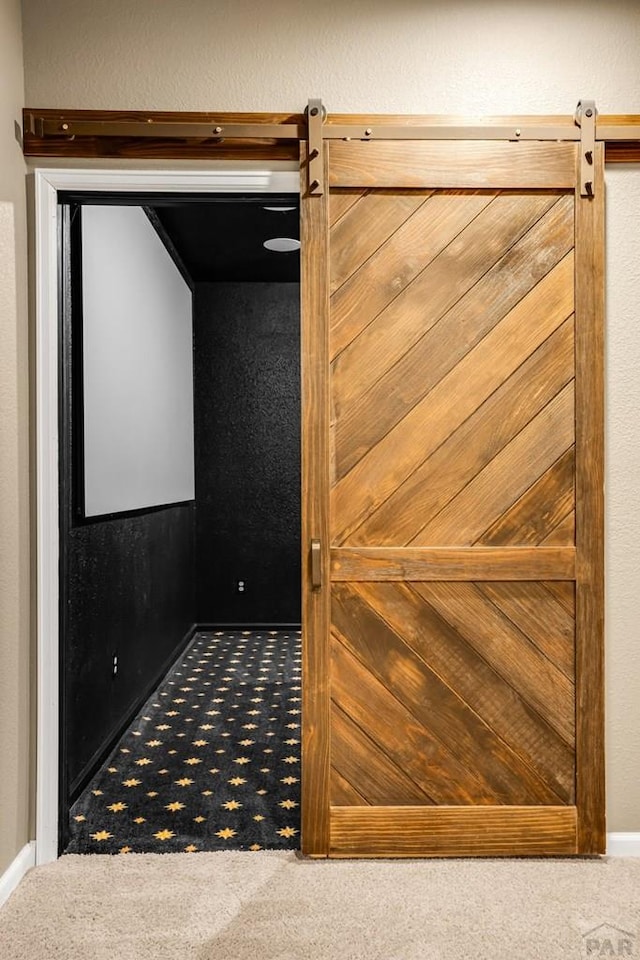 368 S Camino De Los Ranchos, Pueblo West, CO 81007 - detailed view of a barn door and carpet floors