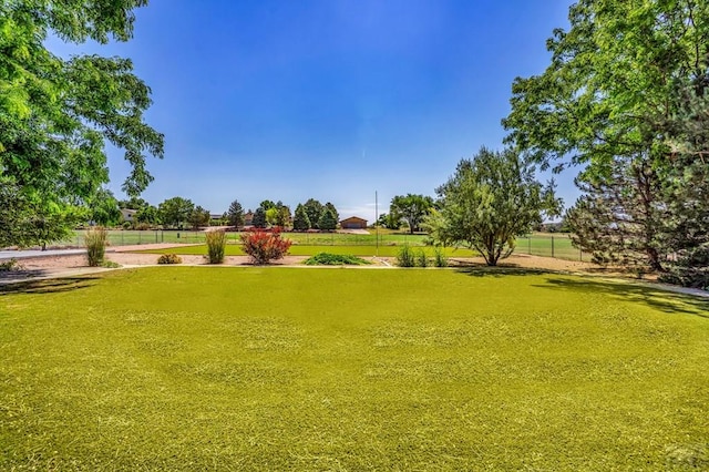368 S Camino De Los Ranchos, Pueblo West, CO 81007 - view of yard