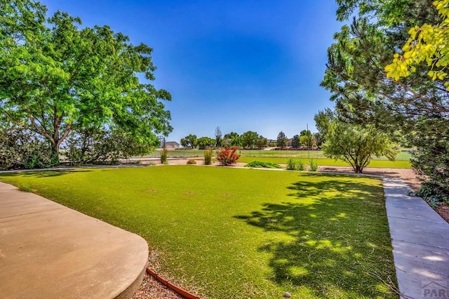 368 S Camino De Los Ranchos, Pueblo West, CO 81007 - view of home's community with a lawn