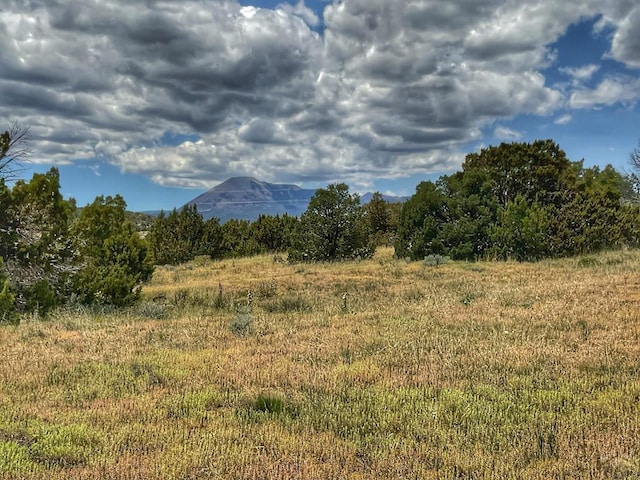 Listing photo 2 for LOT25 Comanche Dr, Walsenburg CO 81089