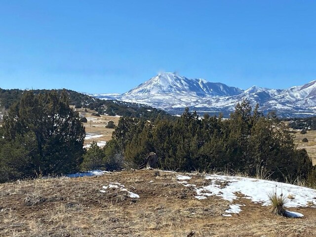 LOT25 Comanche Dr, Walsenburg CO, 81089 land for sale