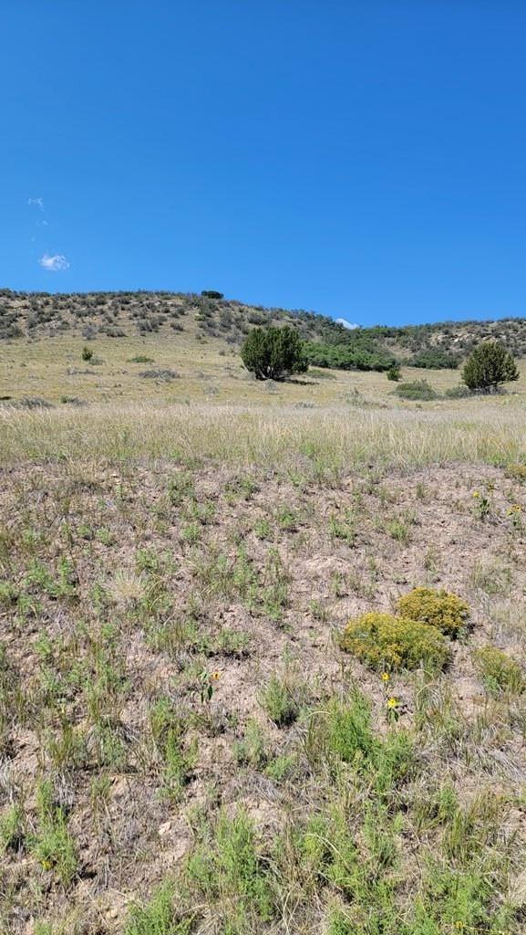 TBD Virginia St, Colorado City, CO 81069 - photo 4