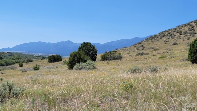 TBD Virginia St, Colorado City, CO 81069 - photo 2