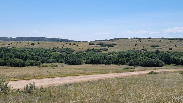 TBD Virginia St, Colorado City, CO 81069 - photo 3